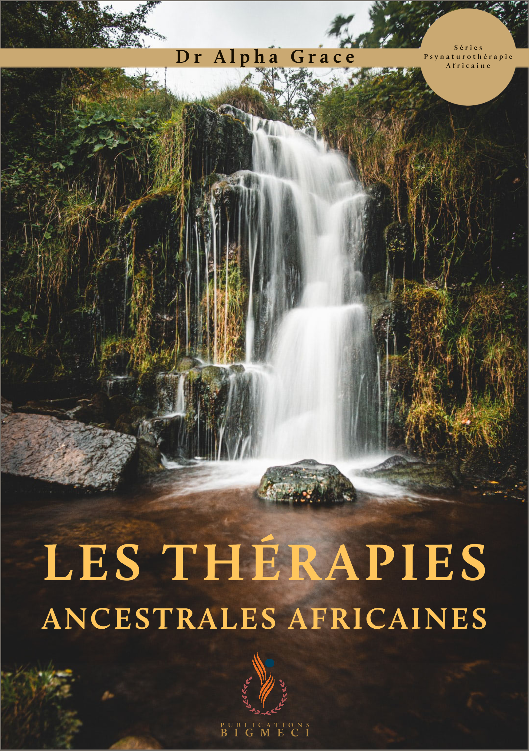 lestherapieafricaine