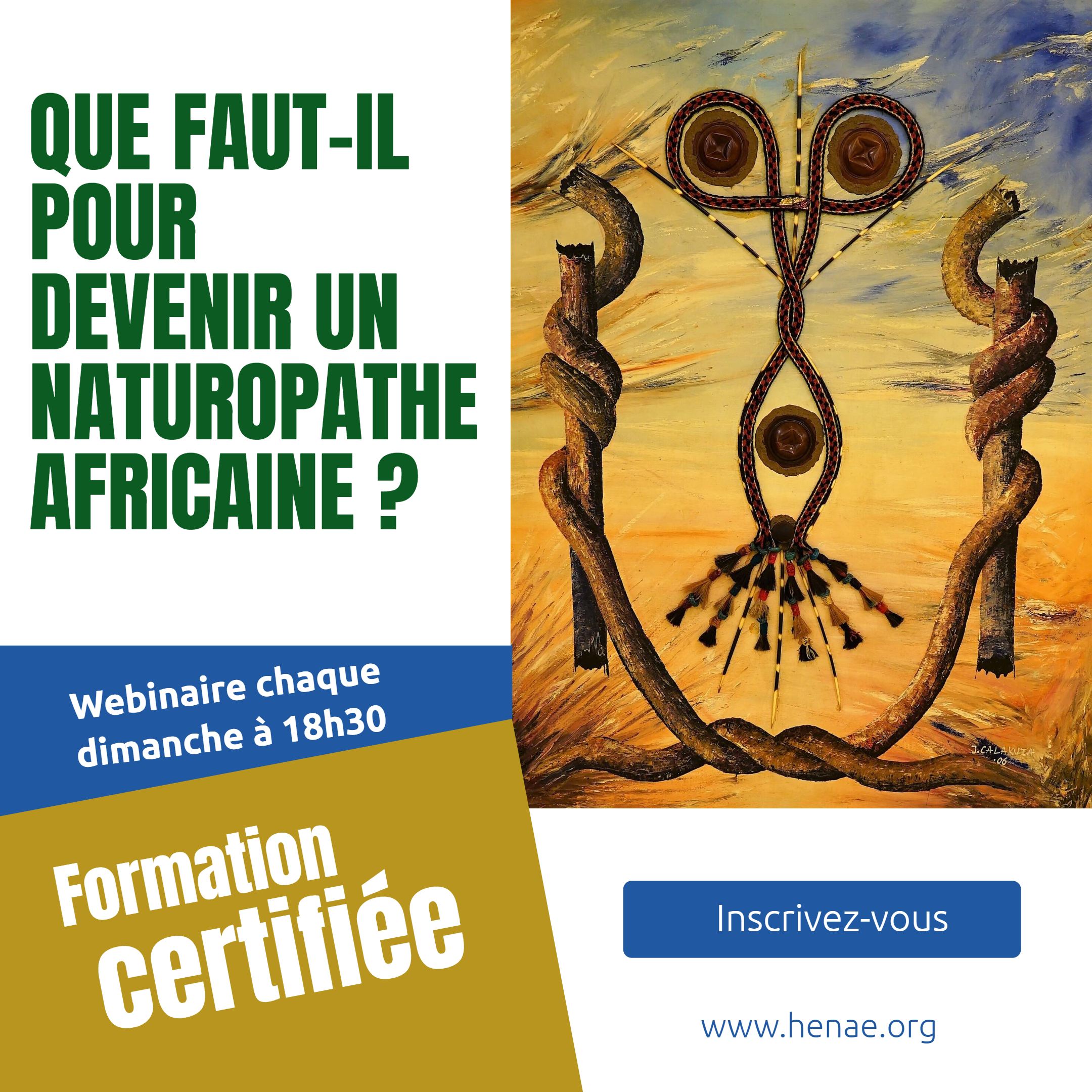 webinaire  